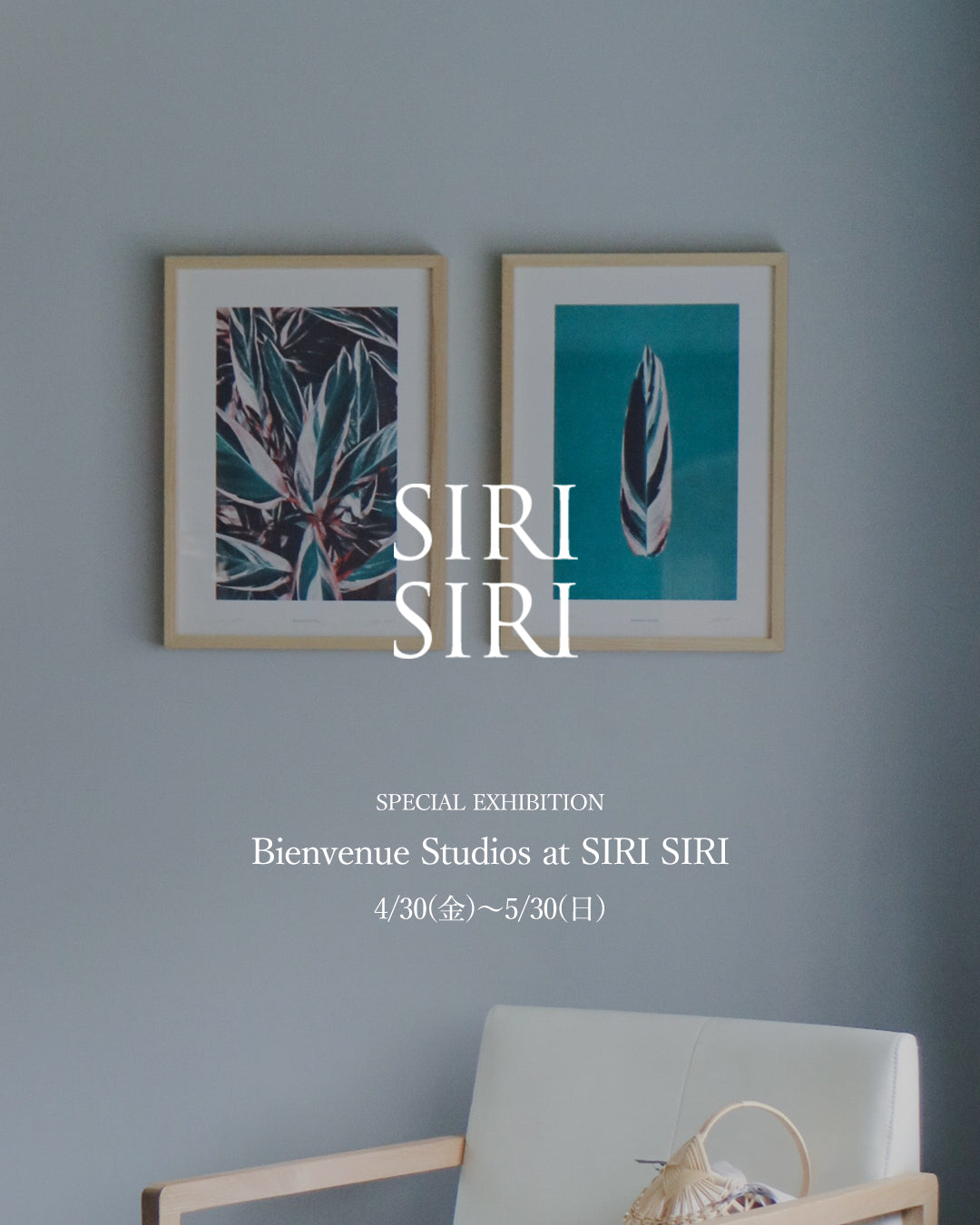 Bienvenue Studios x SIRI SIRI