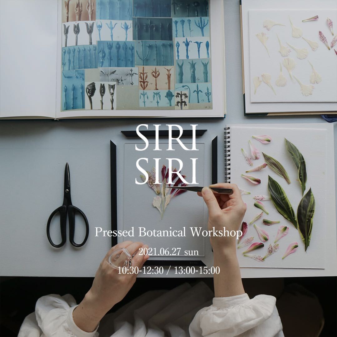 【 Pressed Botanical Workshopのお知らせ】